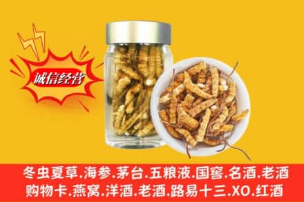 临夏州广河回收散虫草